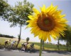 Tour de Francia 2024 en vivo