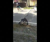 Un terremoto de 7,3 registrado en Filipinas provoca la muerte de al menos cuatro personas