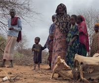 Lehorteak milioika abelburu hil ditu azken bi urteetan Afrikan, eta, ondorioz, artzainen bizimodua hondatu du
