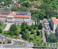 La polémica por la tala de árboles en Deusto