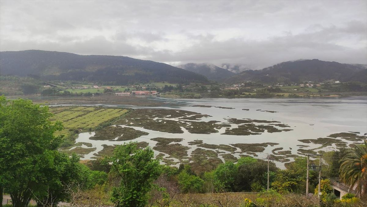 Reserva de la biosfera de Urdaibai.