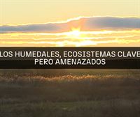 Los humedales celebran su Día Mundial amenazados por la crisis climática y la urbanización