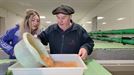 Es tiempo de salmones; descubrimos cómo trabajan en la piscifactoría de Oronoz Mugaire